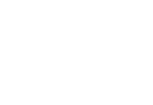 feature-item-4