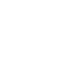 feature-item-1